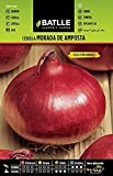 Semillas Batlle Cebolla Mor. Amposta Sel. BRONCE