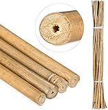 Suinga Pack 10 Tutores de Bambú 120 cm (10-12 mm) - Varillas Resistentes para Plantas, Árboles y Hortalizas | Soporte para Plantas, Tomates | Tutores para Plantas trepadoras