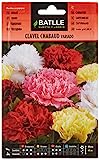Semillas Batlle Clavel Chabaud VARIADO