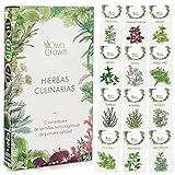 Kit Semillas Hierbas: 12 Variedades de Hierbas Aromaticas para plantar – Semillas Huerto – Albahaca, Tomillo, Cilantro – Plantas Aromaticas – OwnGrown
