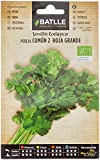 Semillas Batlle Perejil Común 2 (hoja grande) - ECO