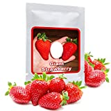 100 SEMILLAS DE FRESAS GIGANTES/Fragaria ananassa/el más grande del mundo