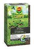 COMPO Semillas de césped repoblador Express, para 50 m², 1 kg, 2357802011