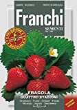 Franchi Sementi DBOS63-1 Fresa Quattro Stagioni (semillas de fresa)