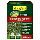 Flower - Semillas Dichondra Repens 250 gr, Resistente al Sol y Sombra, Ideal para 25 m2, Riego Moderado, Bajo Mantenimiento, Turba Rubia, Humus Lombriz, Substrato Ácidas - Tamaño 10.3x3.7x14.5 cm