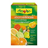 Flower 10559 10559-Abono cítricos, 1.5 kg