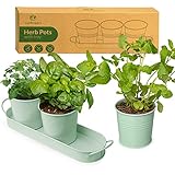 LeafImpact Maceteros para Plantas de Interior con Bandeja | Cultivo de Plantas Aromaticas | Jardineras para el Alféizar de la Ventana | para Cultivar Albahaca, Menta, Perejil y Más