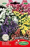 Germisem Pacific Mix Semillas de Statice 0.5 g (EC1550)