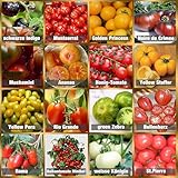 Set de Semillas de Tomate 16 x 10 semillas Tomate Mezcla 100% natural de semillas recogidas a mano de Portugal, variedades raras y antiguas, semillas con alto índice de germinación, jardín, balcón