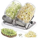 Cinnani Kit de Tarros de Germinación Brote de Semilla Germinador de Semillas Incluye 2 1000ml Frascos de Vidrio, 2 Soporte, 1 Bandeja, 2 Rejillas de Filtro y 2 Cubiertas de Acero Inoxidable