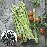 Roadoor Semillas de espárragos, 50 Unids/Bolsa Semillas de espárragos Partículas regordetas Alta tasa de germinación Floreciente Sin OGM Semillas de plantación de quimbombó Accesorios de jardín Un