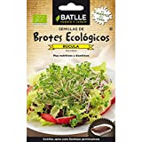 Semillas Batlle BROTES RUCULA - ECO