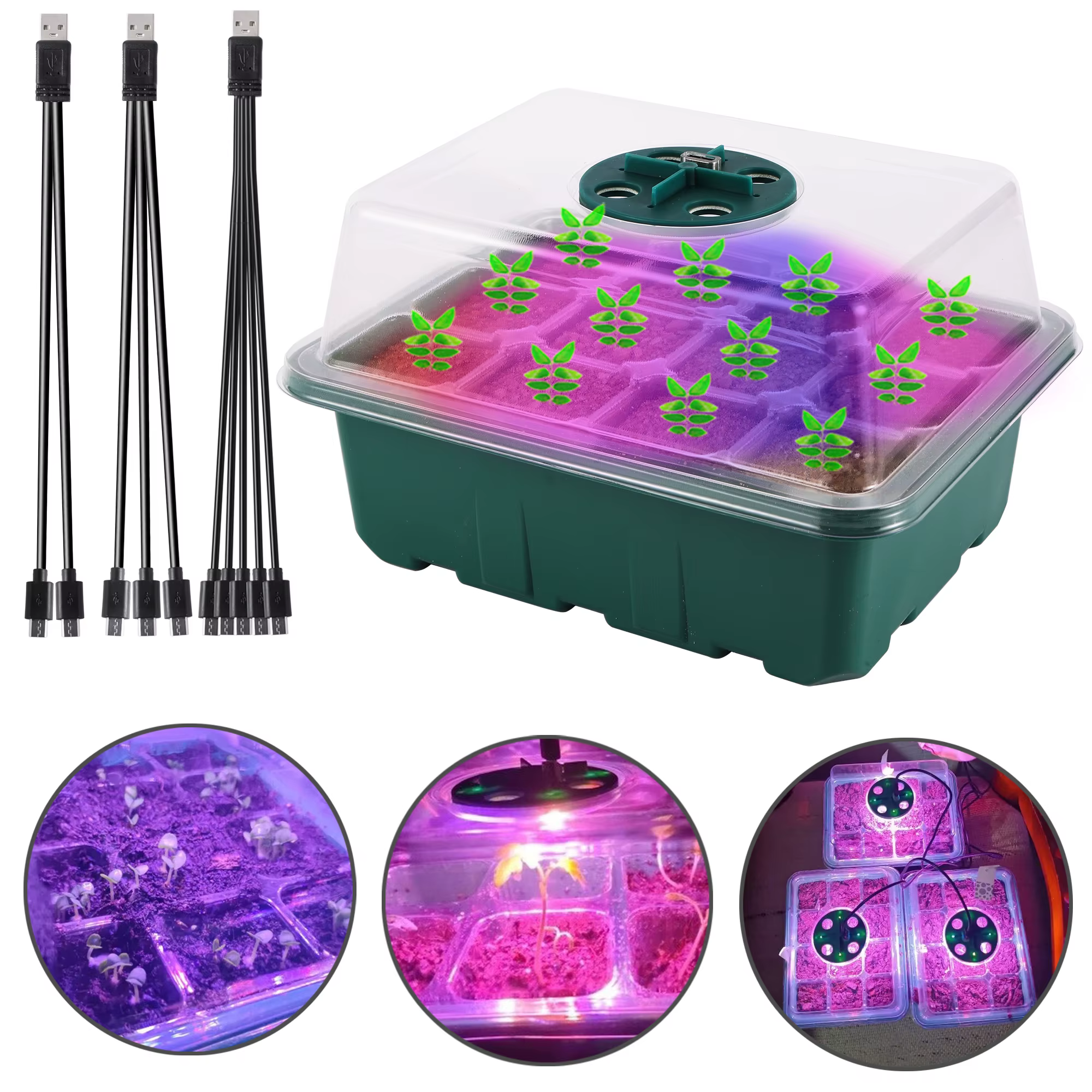 Caja de cultivo de jardinería con luz de cultivo, bandeja de vivero de semillero, maceta de germinación transpirable, flor suculenta vegetal