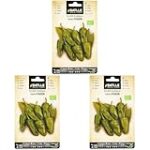 Los mejores pimientos de padrón rojos para tu huerta: Análisis y comparativa de variedades