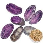 Análisis de las Mejores Opciones para Comprar Patatas Moradas: Encuentra la Variedad Ideal para Tu Huerta