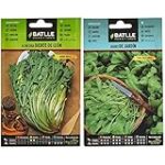 Guía de compra de semillas de achicoria silvestre para tu huerta: Análisis y comparativa de las mejores opciones Guía de compra de semillas de achicoria silvestre para tu huerta: Análisis y comparativa de las mejores opciones