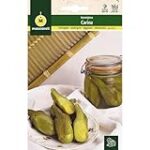 ¿Cómo determinar la distancia ideal entre plantas de berenjenas?: Análisis y comparativa de los mejores productos para tu huerta