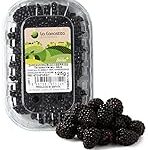 Análisis de los mejores productos para cultivar frutos de moras en tu huerta: ¡Descubre cuál es el adecuado para ti!