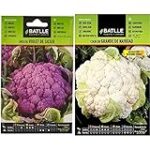 Análisis de la coliflor violeta: descubre las mejores variedades para tu huerta Análisis de la coliflor violeta: descubre las mejores variedades para tu huerta