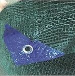 Los mejores utensilios para recoger aceitunas del suelo: Análisis y comparativa para tu huerta Los mejores utensilios para recoger aceitunas del suelo: Análisis y comparativa para tu huerta